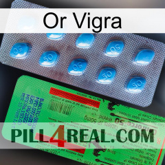 Gold Vigra new03